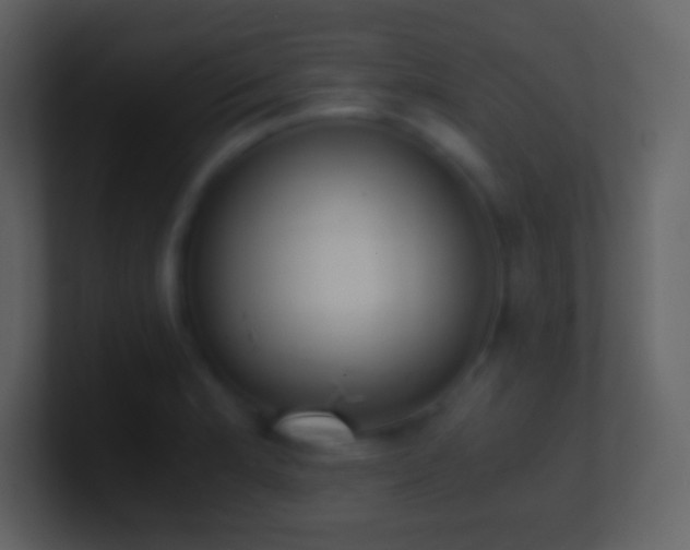 X0000101431181200807071335