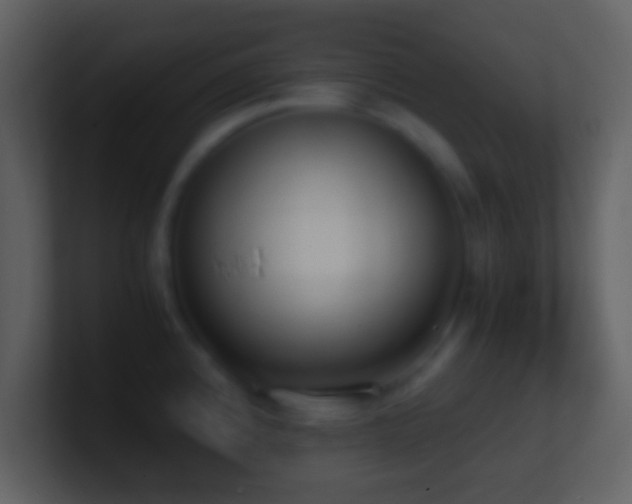 X0000101431192200807071335