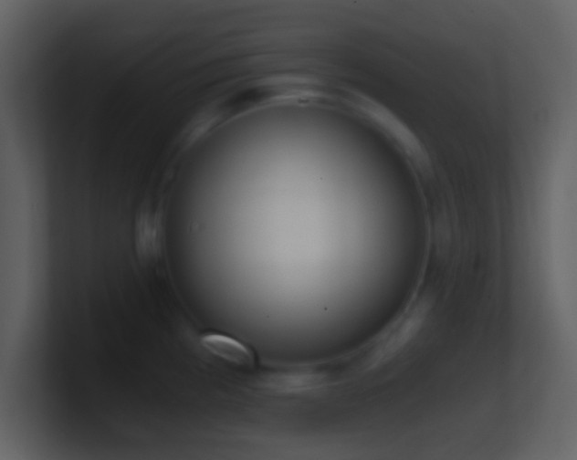 X0000101431193200807071335