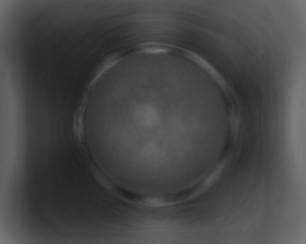 X0000101431194200807071335