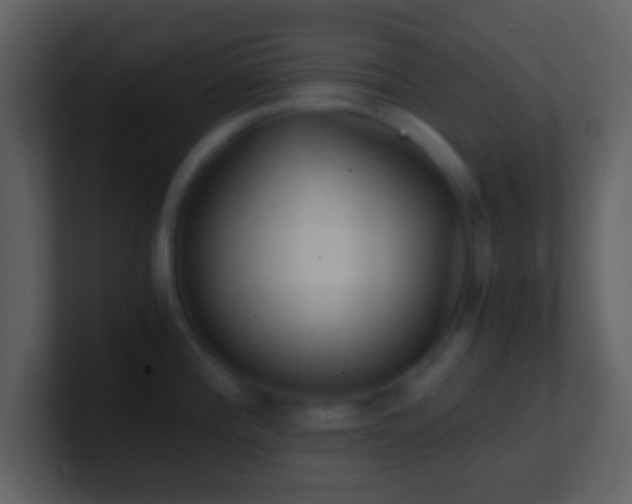 X0000101431196200807071335