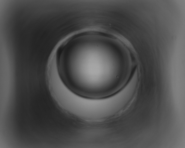 X0000101431200200807071335