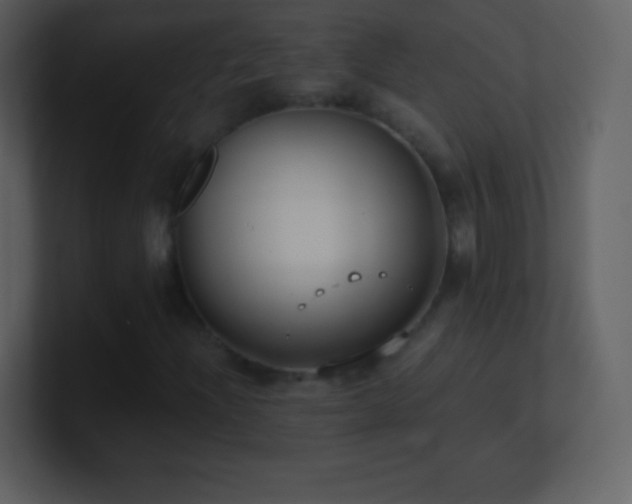 X0000101431204200807071334