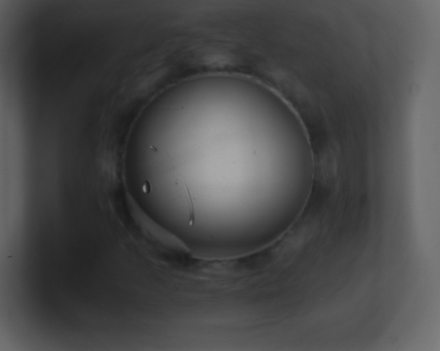 X0000101431205200807071334