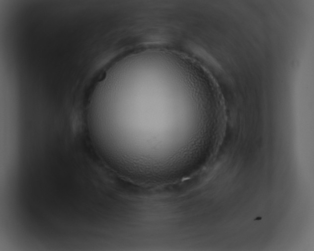 X0000101431208200807071334