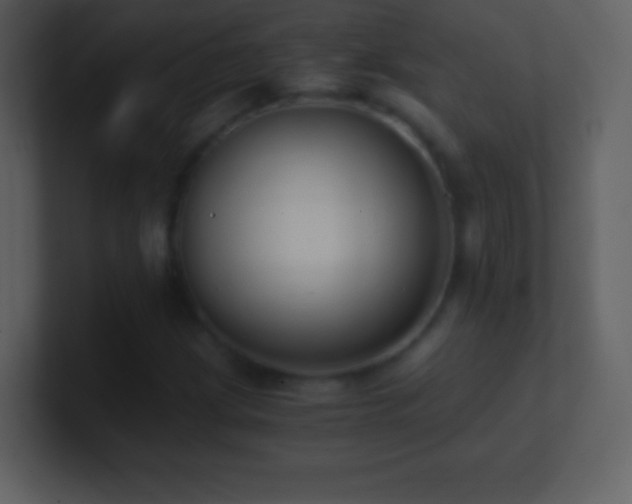 X0000101431209200807071334