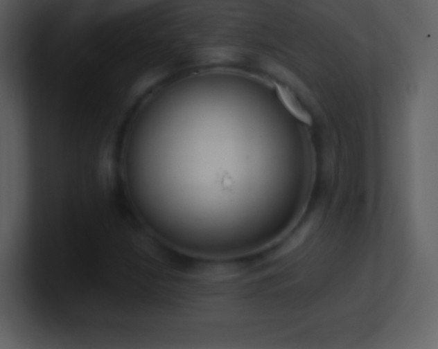 X0000101431210200807071334