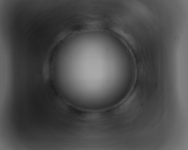 X0000101431211200807071334