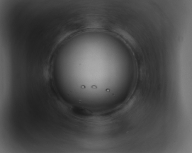 X0000101431212200807071334