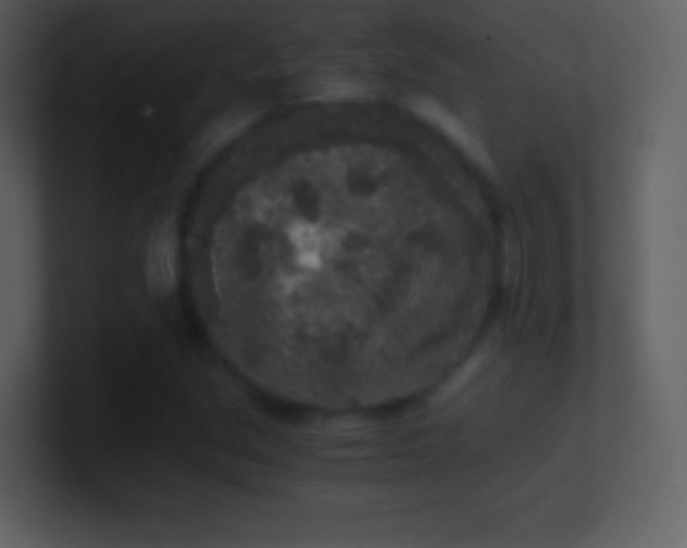 X0000101431213200807071334