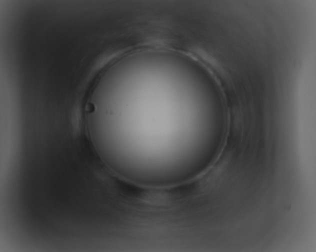 X0000101431215200807071334