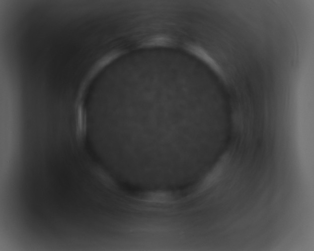 X0000101431219200807071335