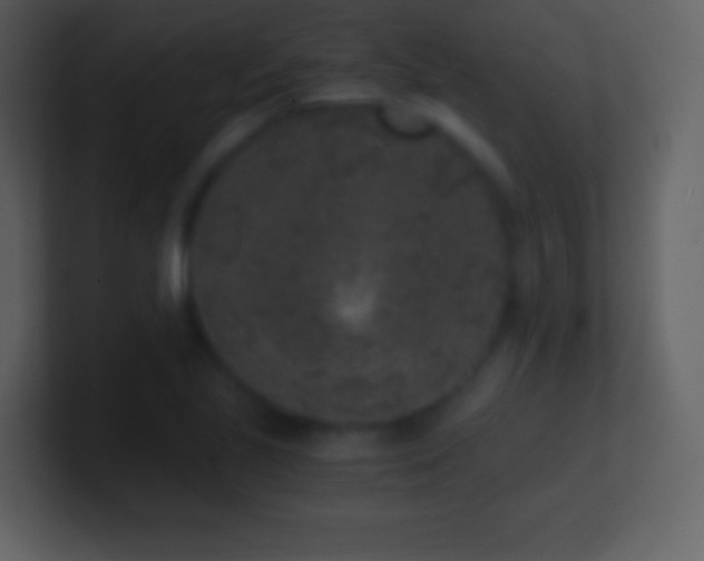 X0000101431221200807071335