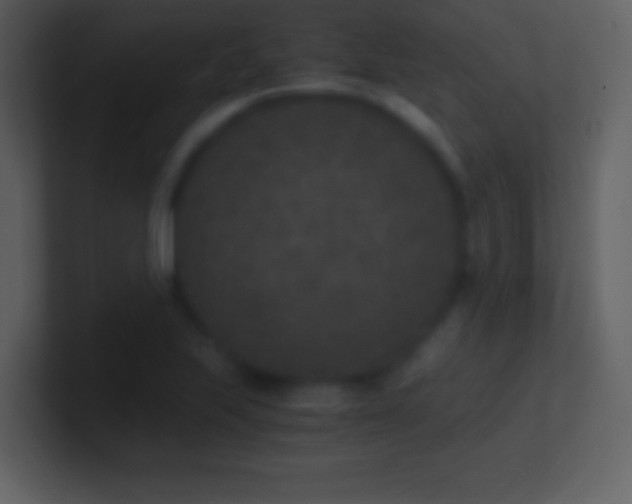 X0000101431223200807071335