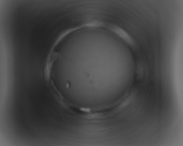 X0000101431228200807071335