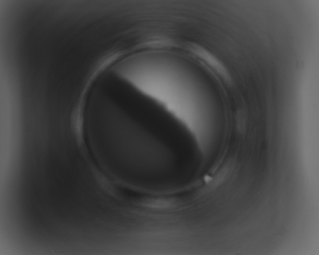 X0000101431229200807071335