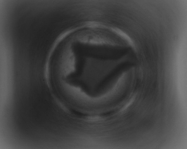 X0000101431231200807071335