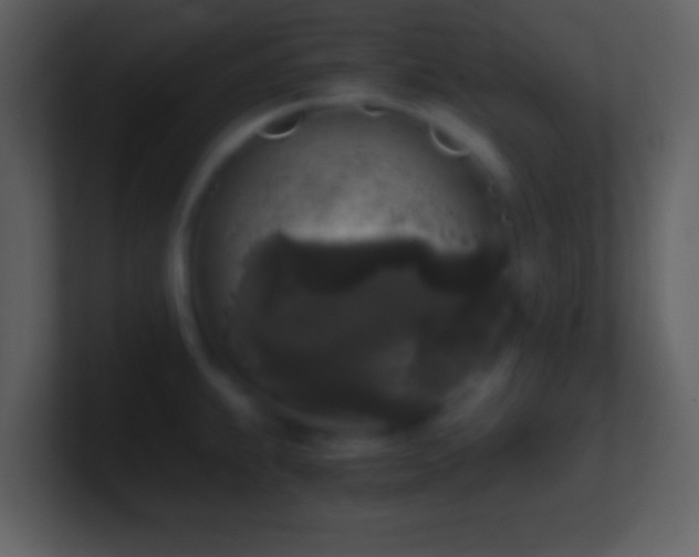 X0000101431239200807071335