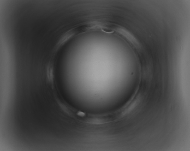 X0000101431241200807071335