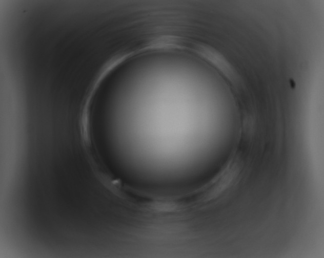 X0000101431242200807071335