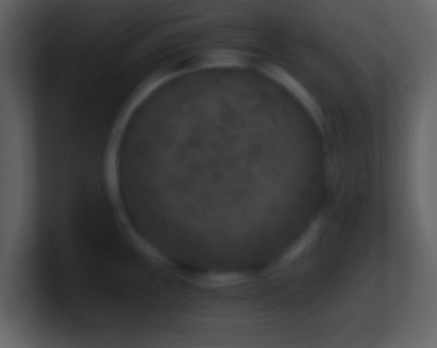 X0000101431243200807071335