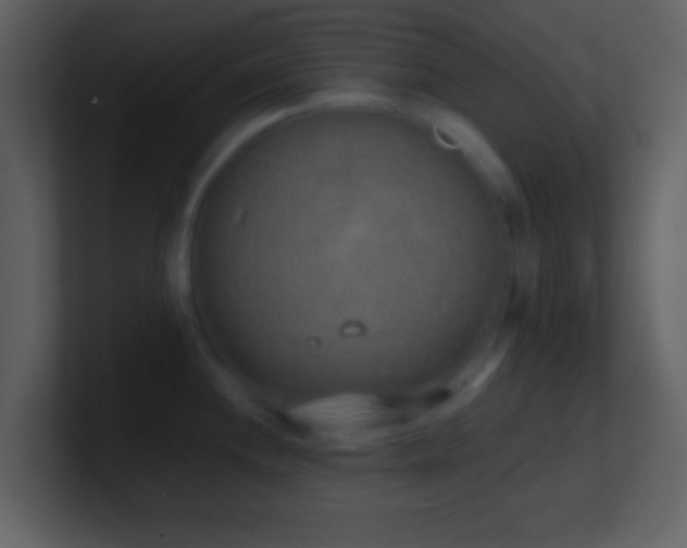 X0000101431244200807071335