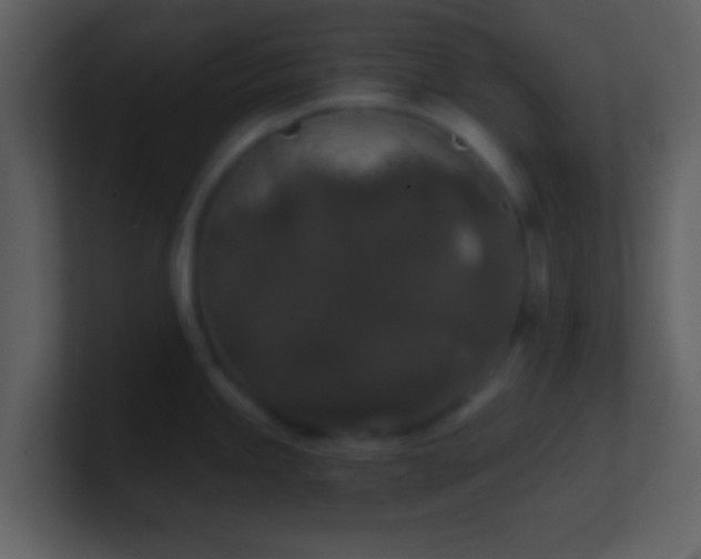 X0000101431245200807071335
