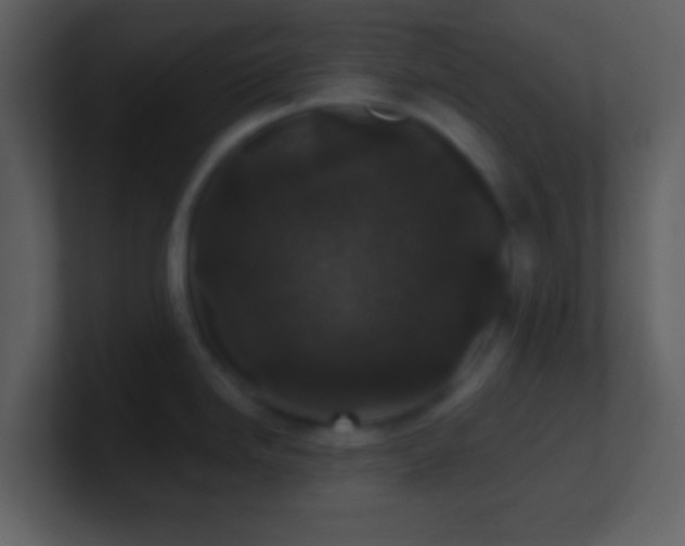 X0000101431246200807071335