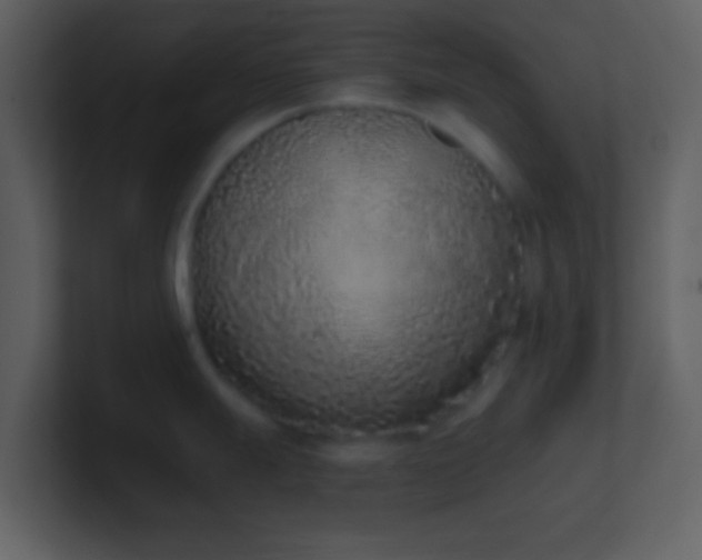 X0000101431247200807071335