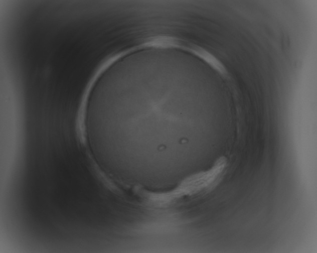X0000101431248200807071335