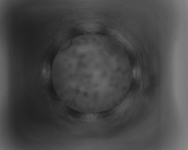 X0000101431251200807071334