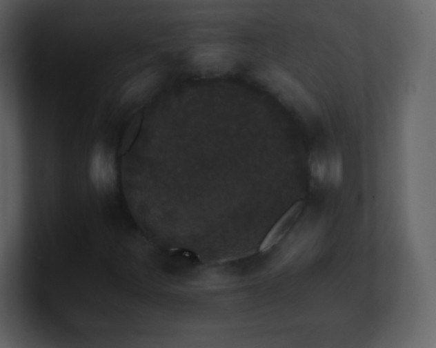 X0000101431252200807071334