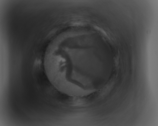X0000101431254200807071334