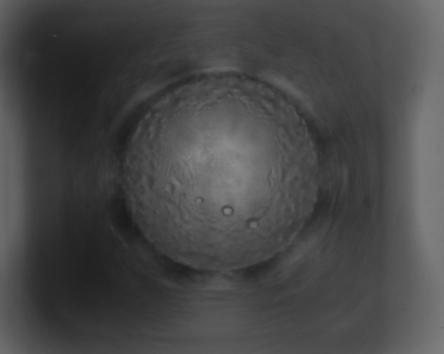 X0000101431255200807071334