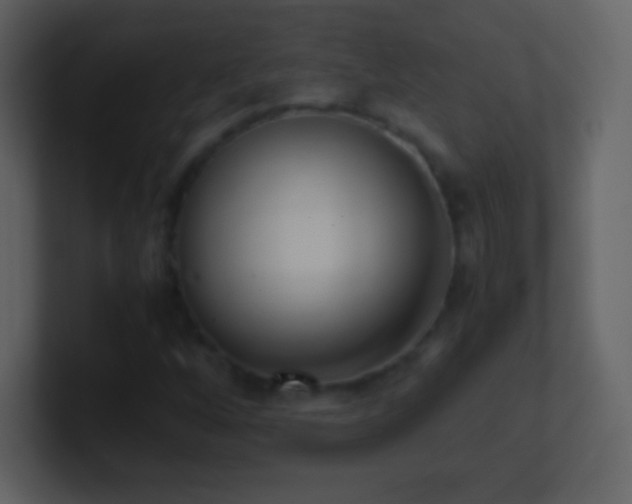 X0000101431256200807071334
