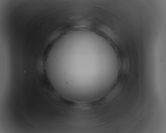 X0000101431258200807071334