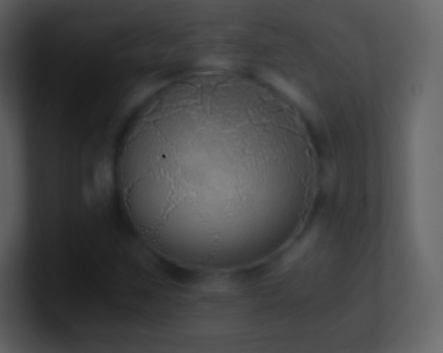 X0000101431259200807071334