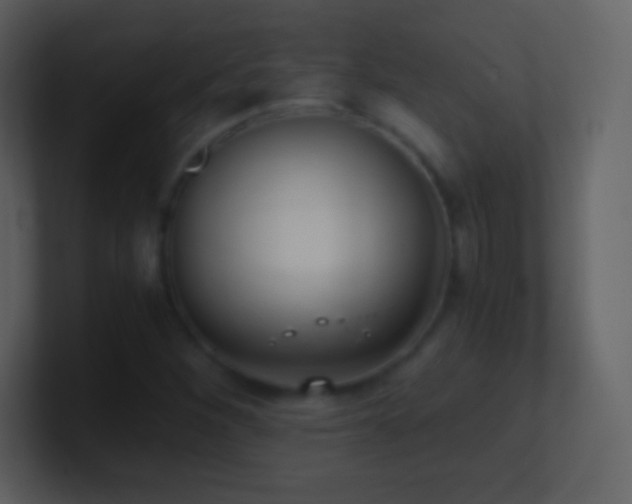X0000101431260200807071334
