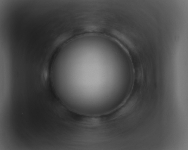 X0000101431261200807071334