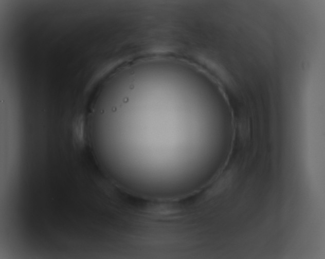 X0000101431262200807071334