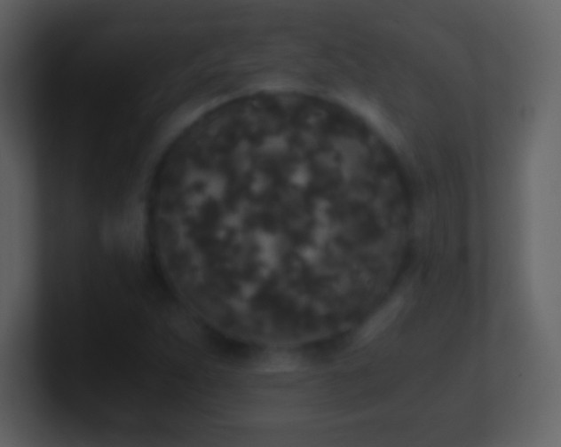 X0000101431263200807071334
