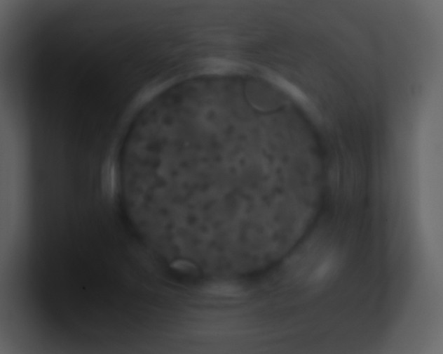 X0000101431267200807071334
