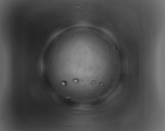 X0000101431271200807071334