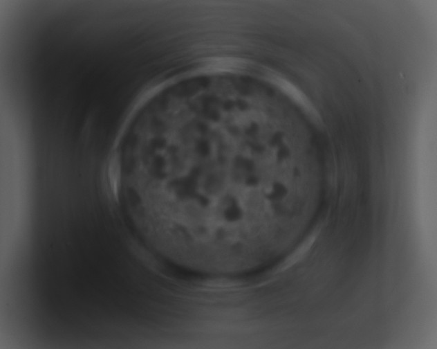 X0000101431275200807071334