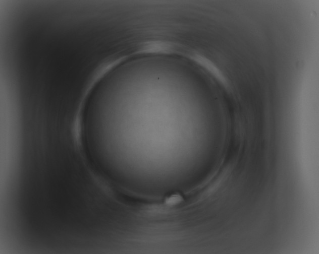 X0000101431277200807071334