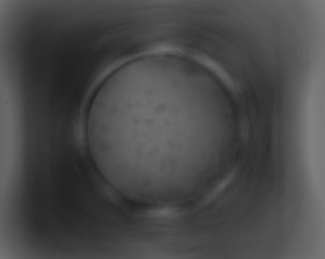 X0000101431278200807071334