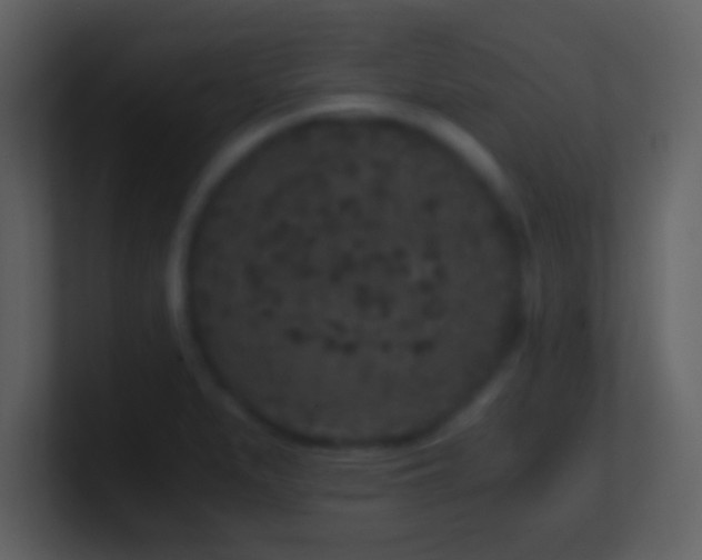 X0000101431279200807071334