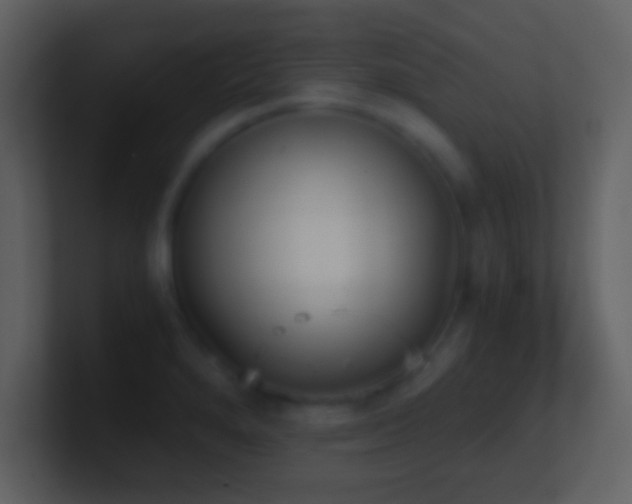 X0000101431280200807071334