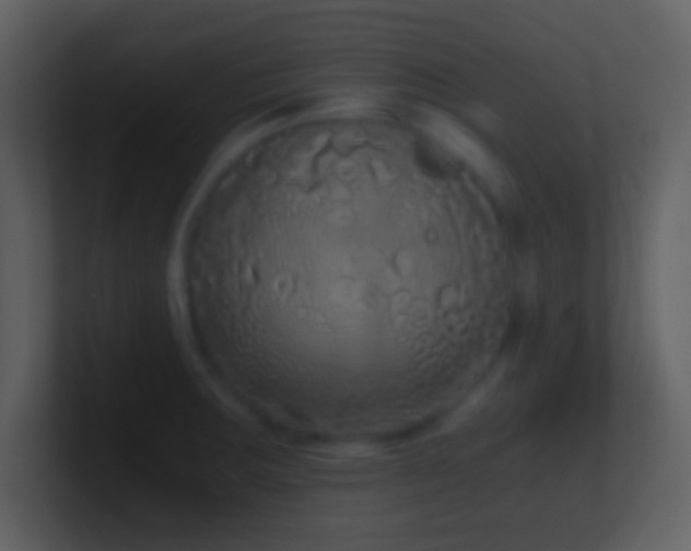 X0000101431283200807071334