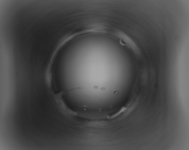 X0000101431284200807071334